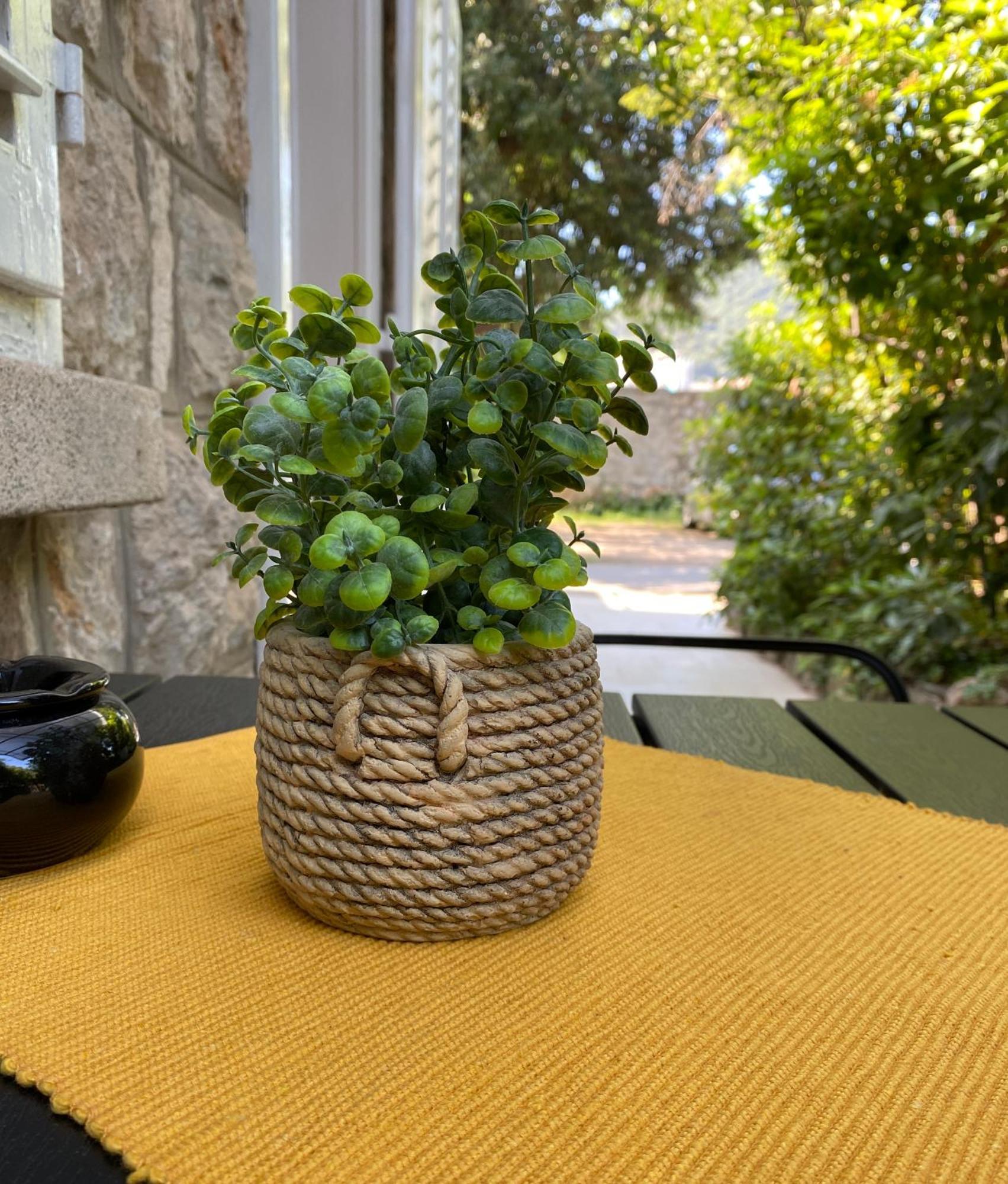 Apartment Mario Dubrovnik Dış mekan fotoğraf